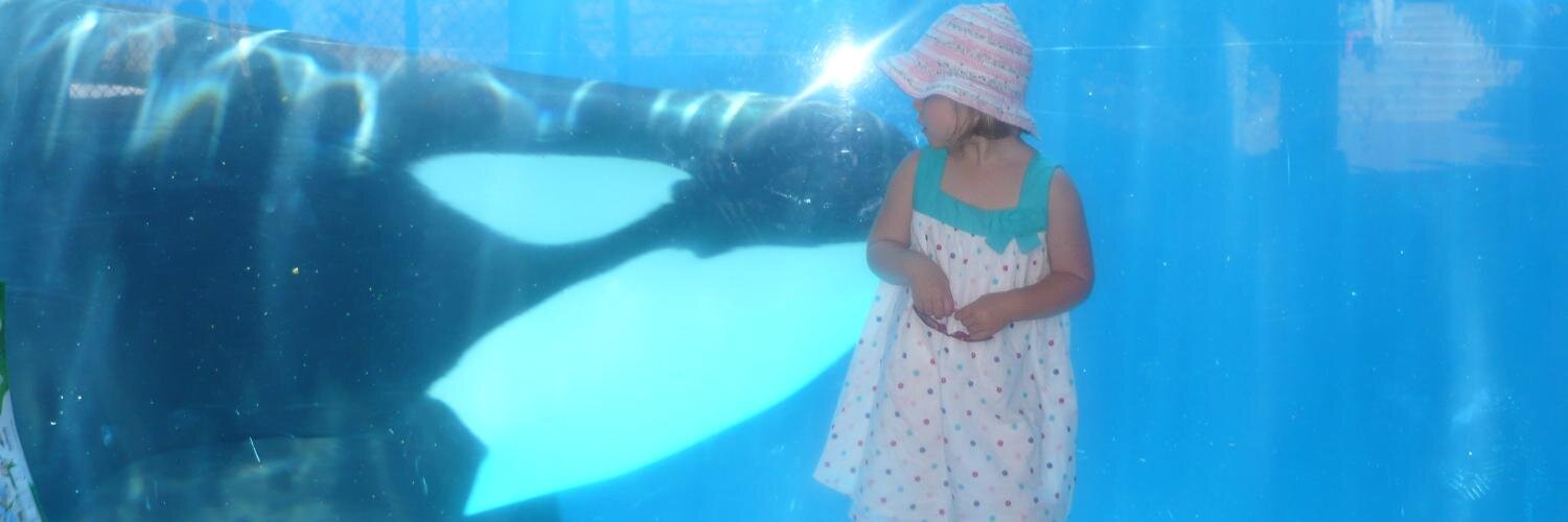 Martin Whiteley banner