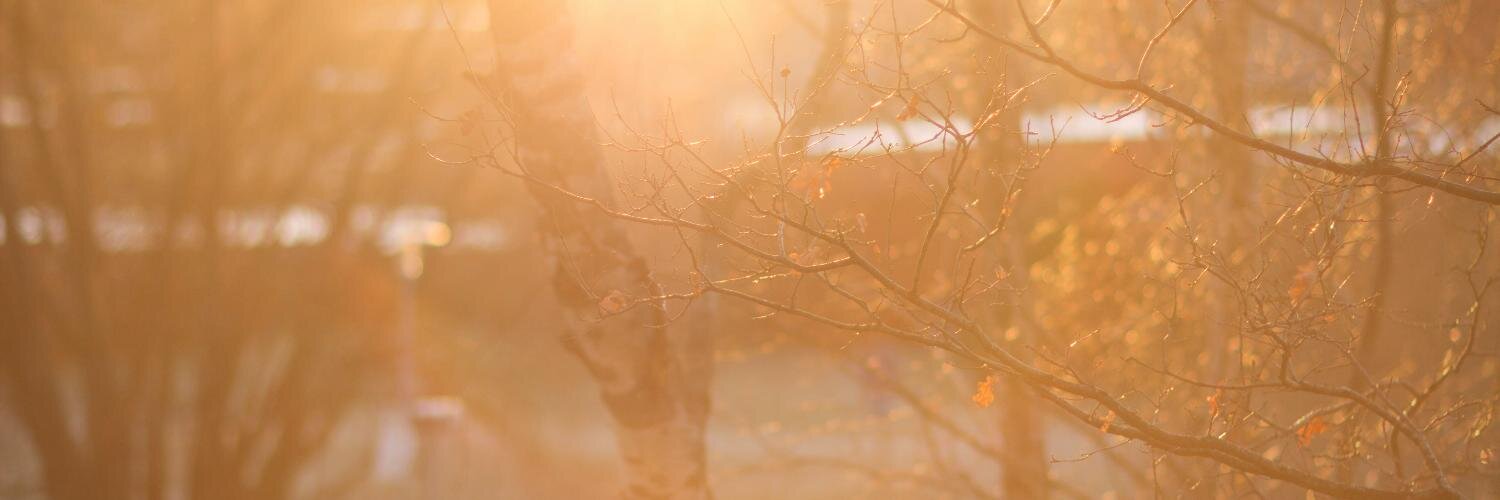 Patrik Ragnarsson banner