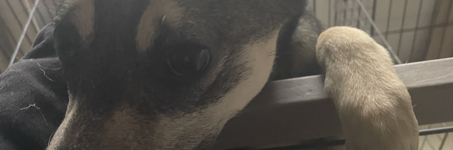 originminidavi banner