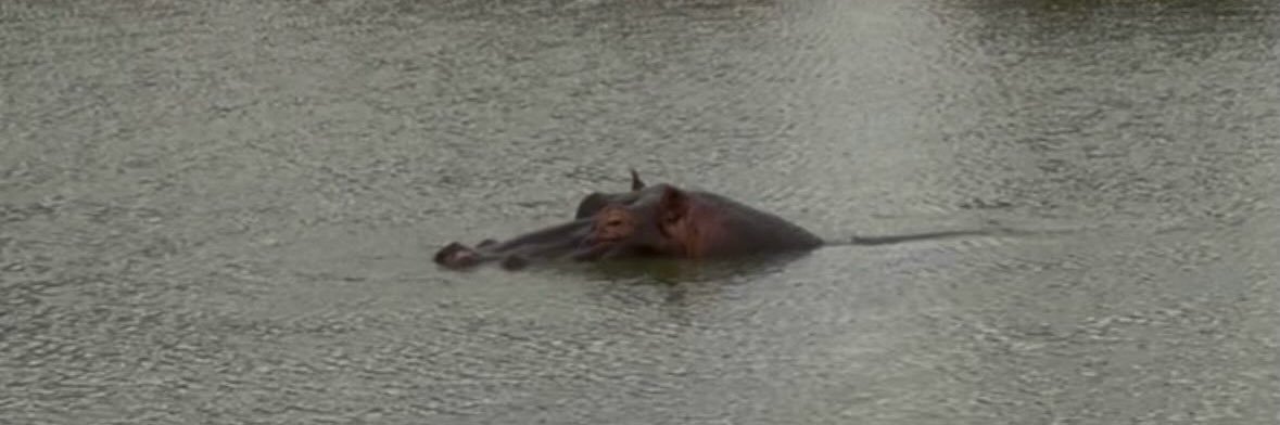 Marcin Gordon banner