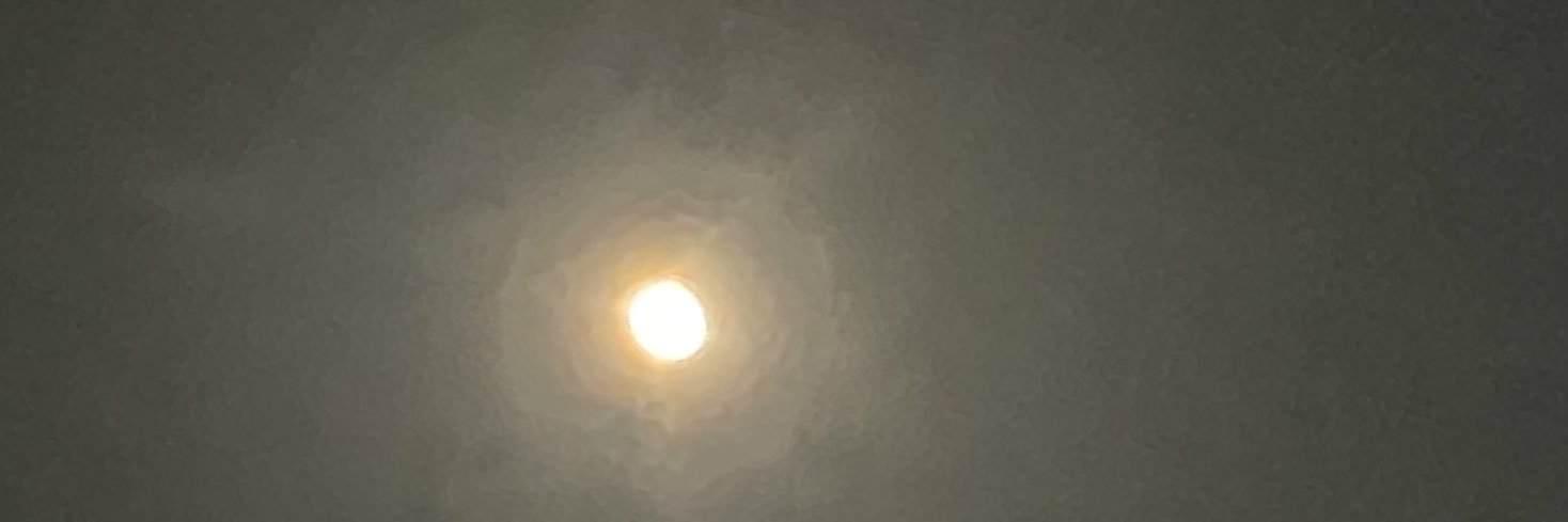 llcmtm banner