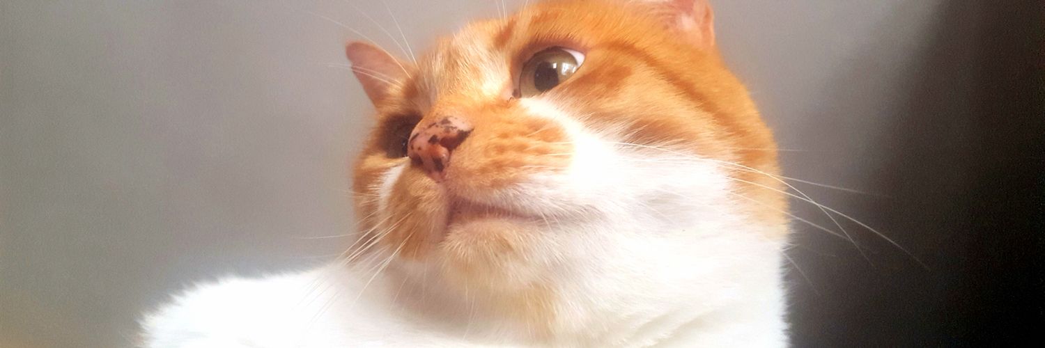 nesduchess's profile banner image