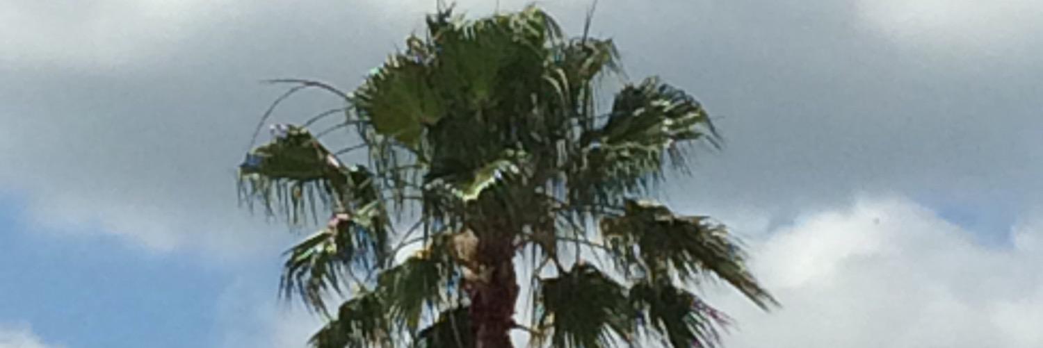 cdebbie92's profile banner image