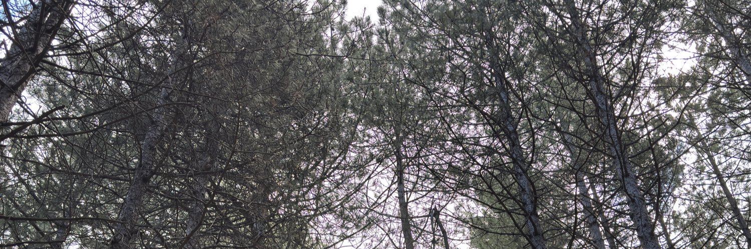 𝕝𝕒𝕛𝕥𝕙𝕚𝕒 banner