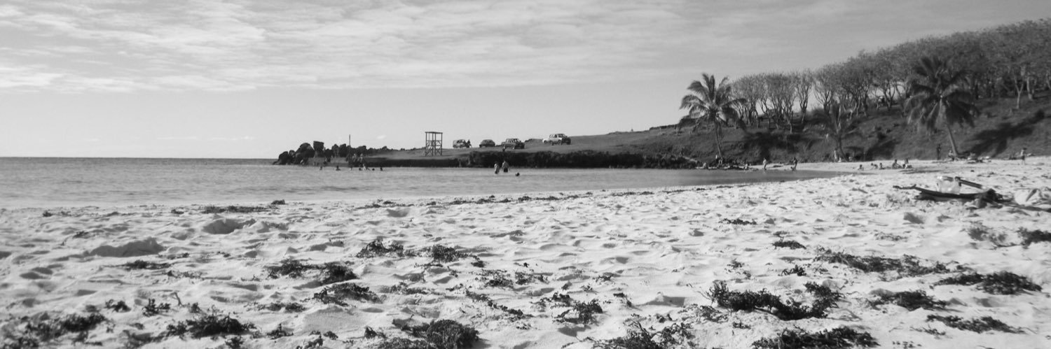 layla jorquera banner