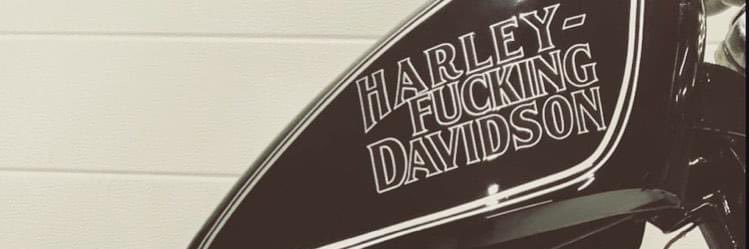fairyonacidd's profile banner image