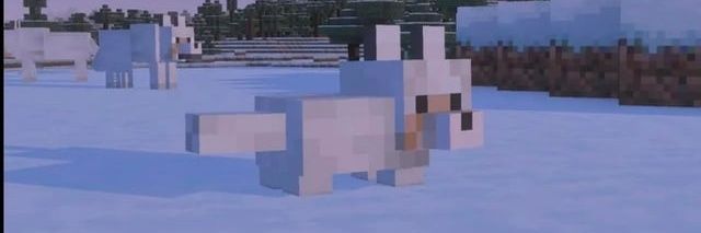 ໊ banner