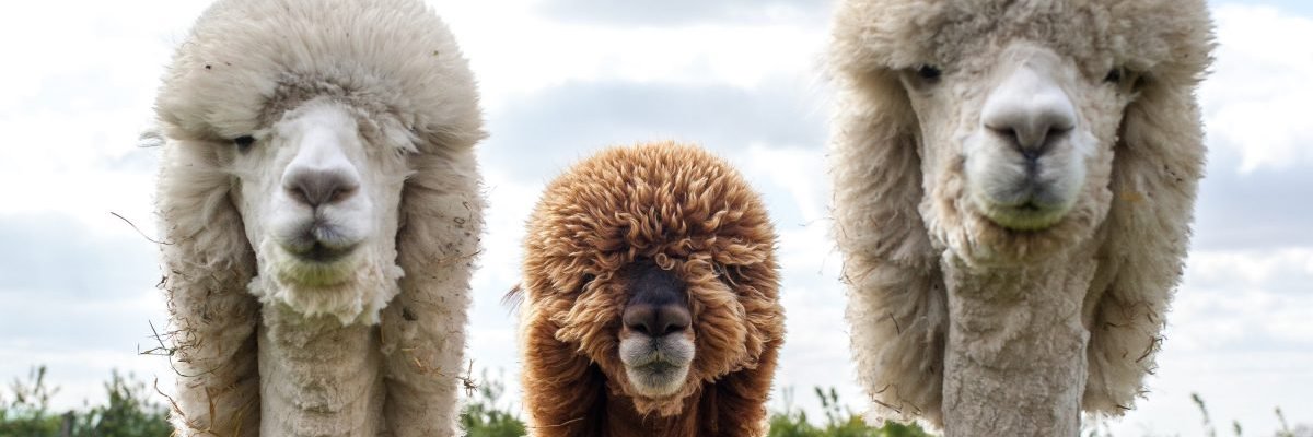 kmb2k2's profile banner image