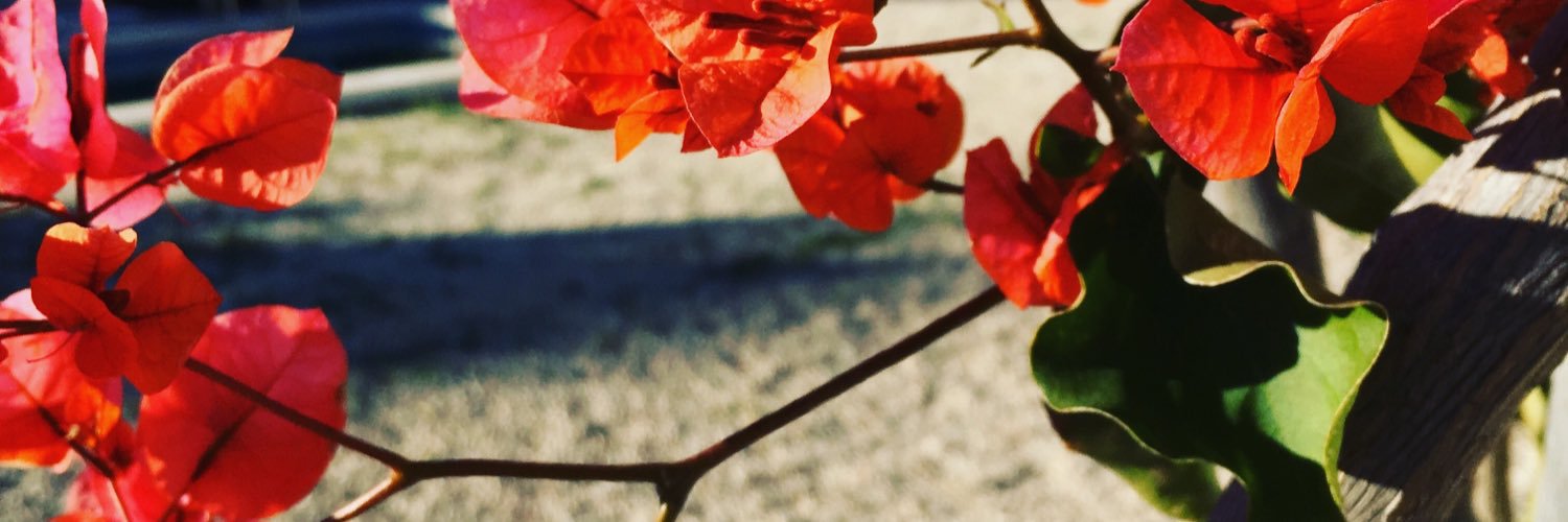tamara2510's profile banner image