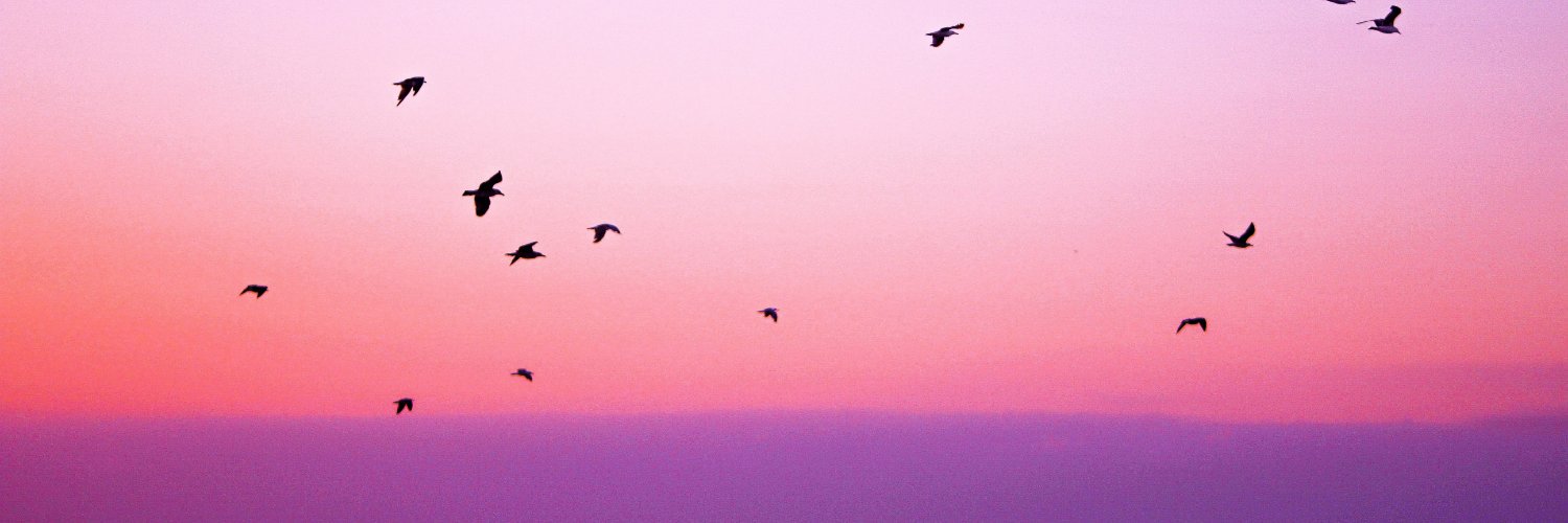 AnnaInCrypto's profile banner image