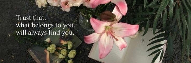 Junita Cesara banner