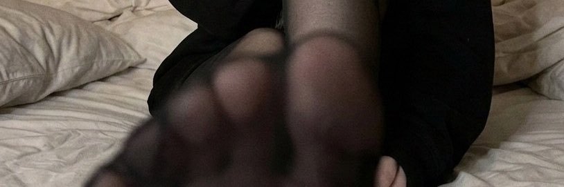 ねこ banner
