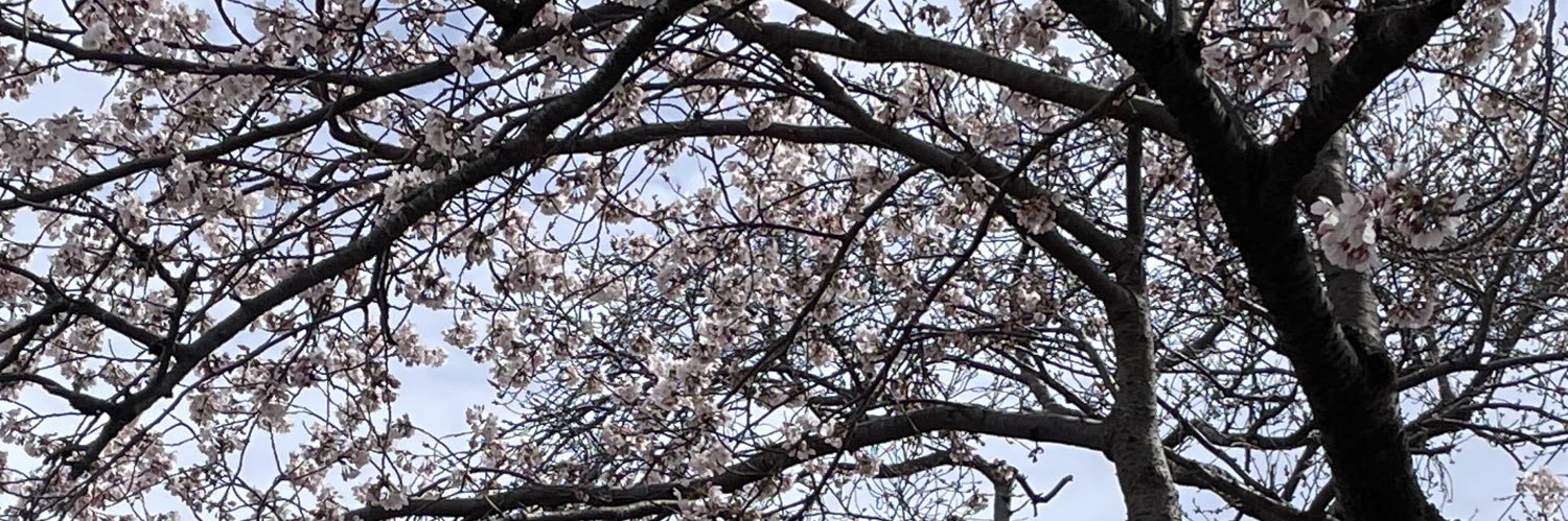 まの banner