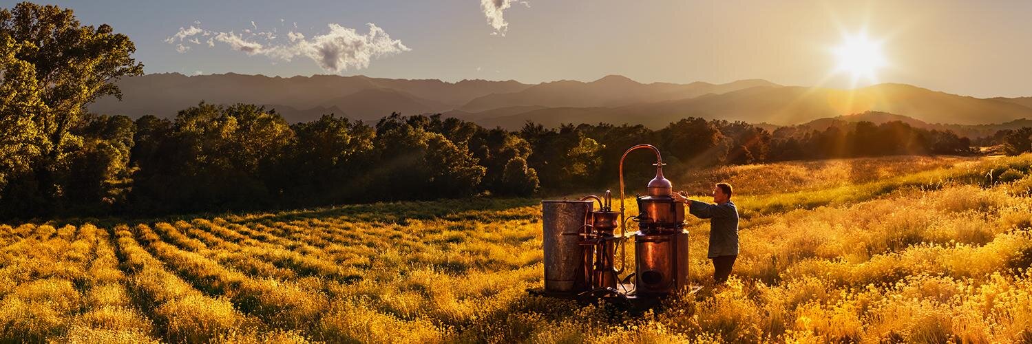 LOCCITANE_BR's profile banner image