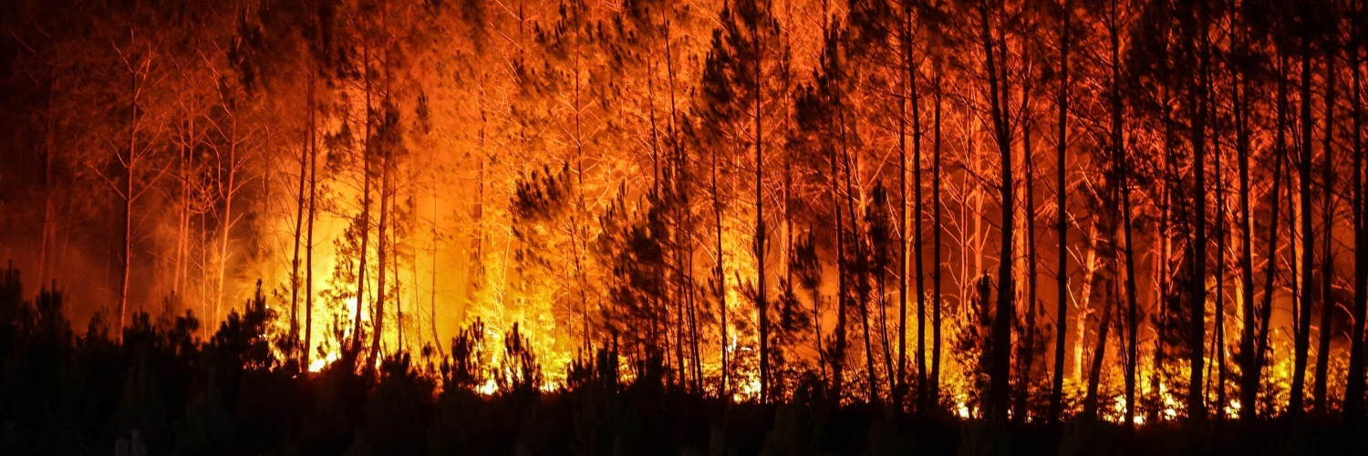 Madmax Martigan banner