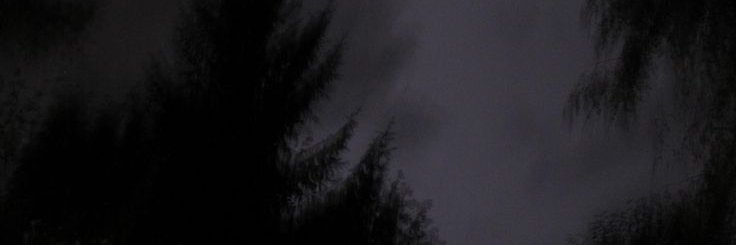 ꒦꒷𝐍𝐄𝐑𝐕𝐎𝐔𝐒 𝐋𝐄𝐀𝐃𝐄𝐑 banner