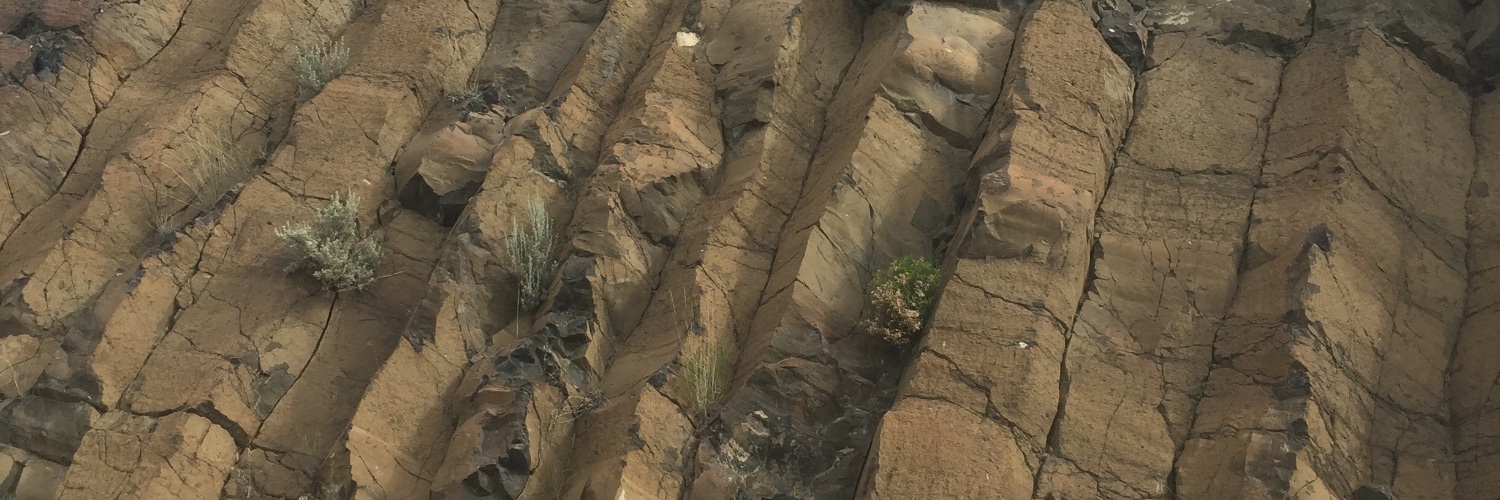 Nicholas Barber🌋 banner