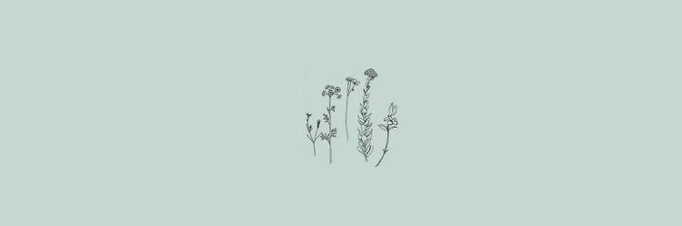 jellybeanjean's profile banner image