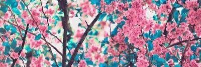 curlytots97's profile banner image