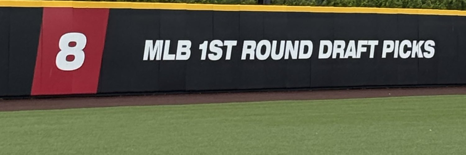 ChucktheCardinal banner