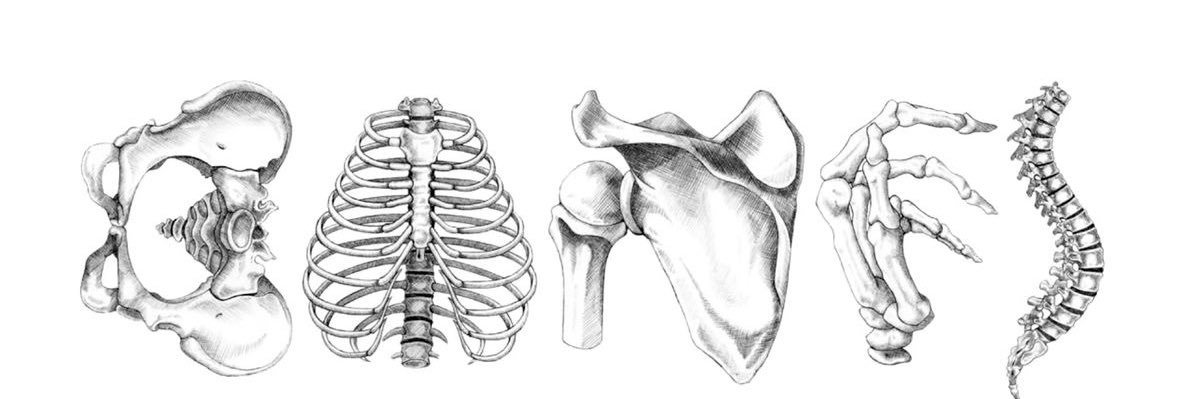 clavicular banner