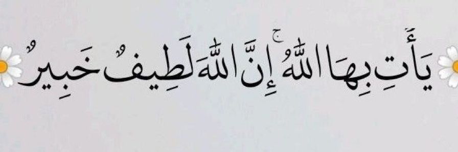 M. Sami محمد سمیع banner