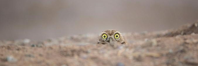 writerjessa.bsky.social BlueSky! Find me there! banner