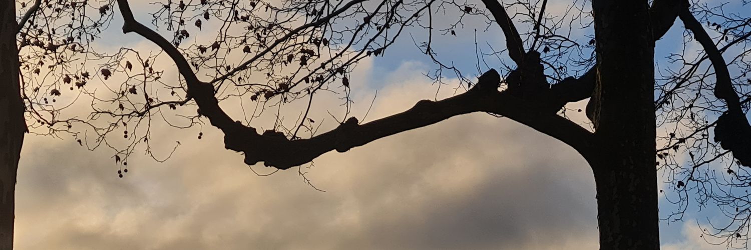 SuryaCresus's profile banner image