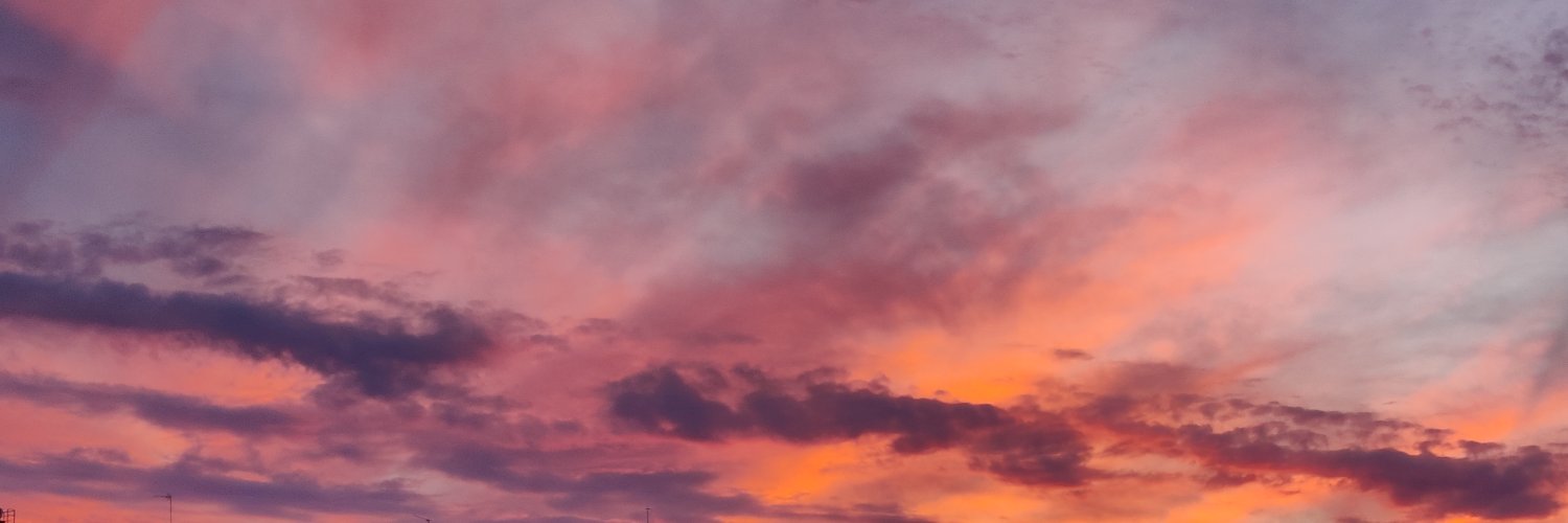 Sonia S. 💫🍊🍹🐈 banner