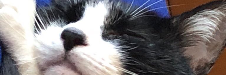cleoga's profile banner image