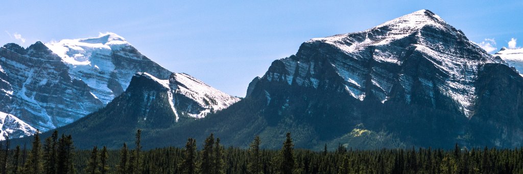 c0rn_d0g's profile banner image