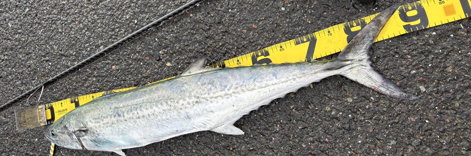 Hu_fishing's profile banner image