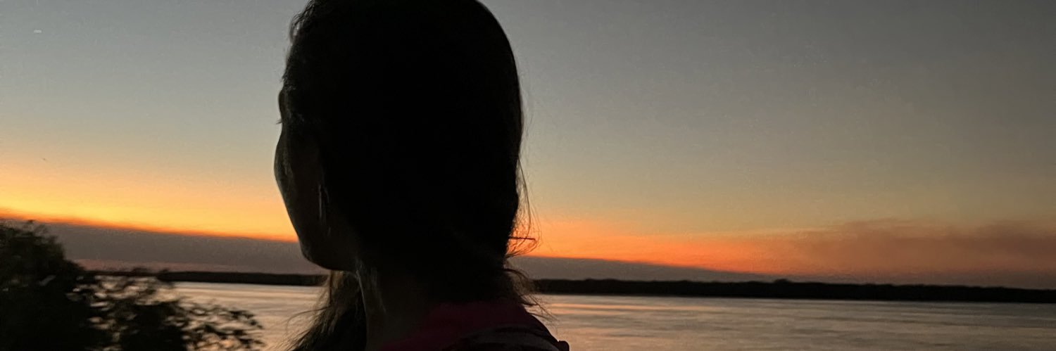 Luliimijno's profile banner image