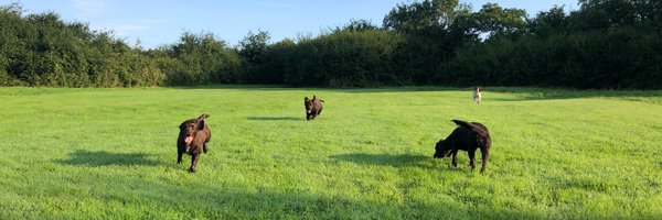 AmandaCLennon Profile Banner