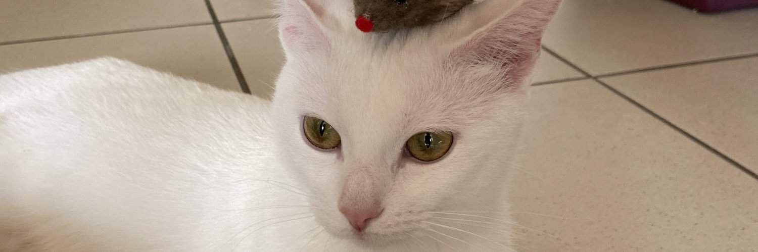 RichardGuillaume Nguyen banner