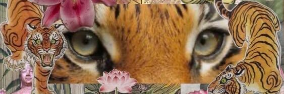 miss miskiin🧸💌 banner