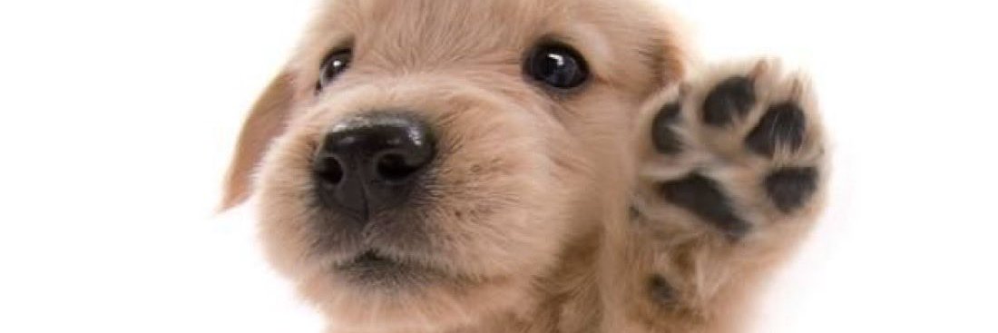 ggoul_'s profile banner image