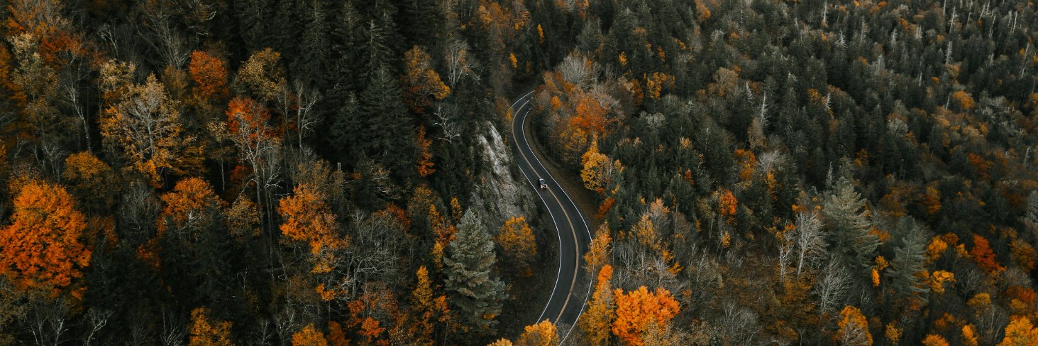 Petar Radošević banner
