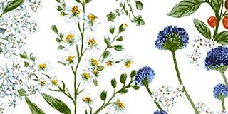 CLArriaga's profile banner image