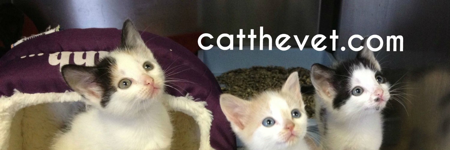 Cat_The_Vet's profile banner image