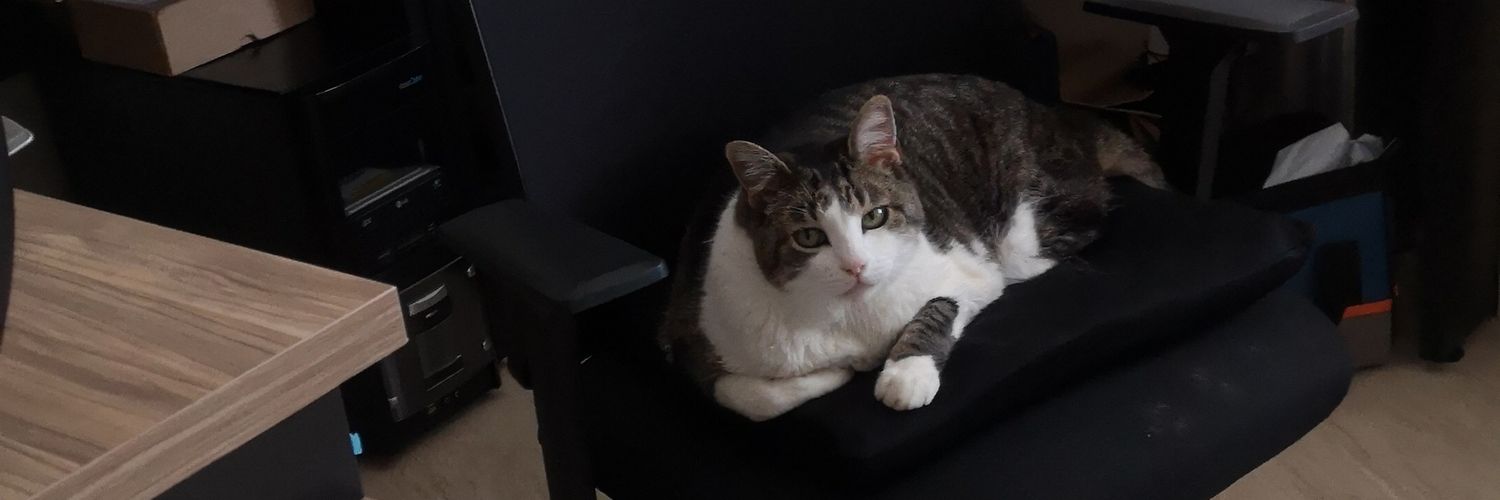 jfsmdcb's profile banner image