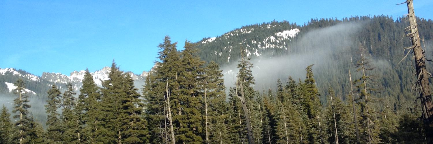 peoplearedickz's profile banner image