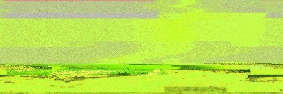sibilabayon's profile banner image