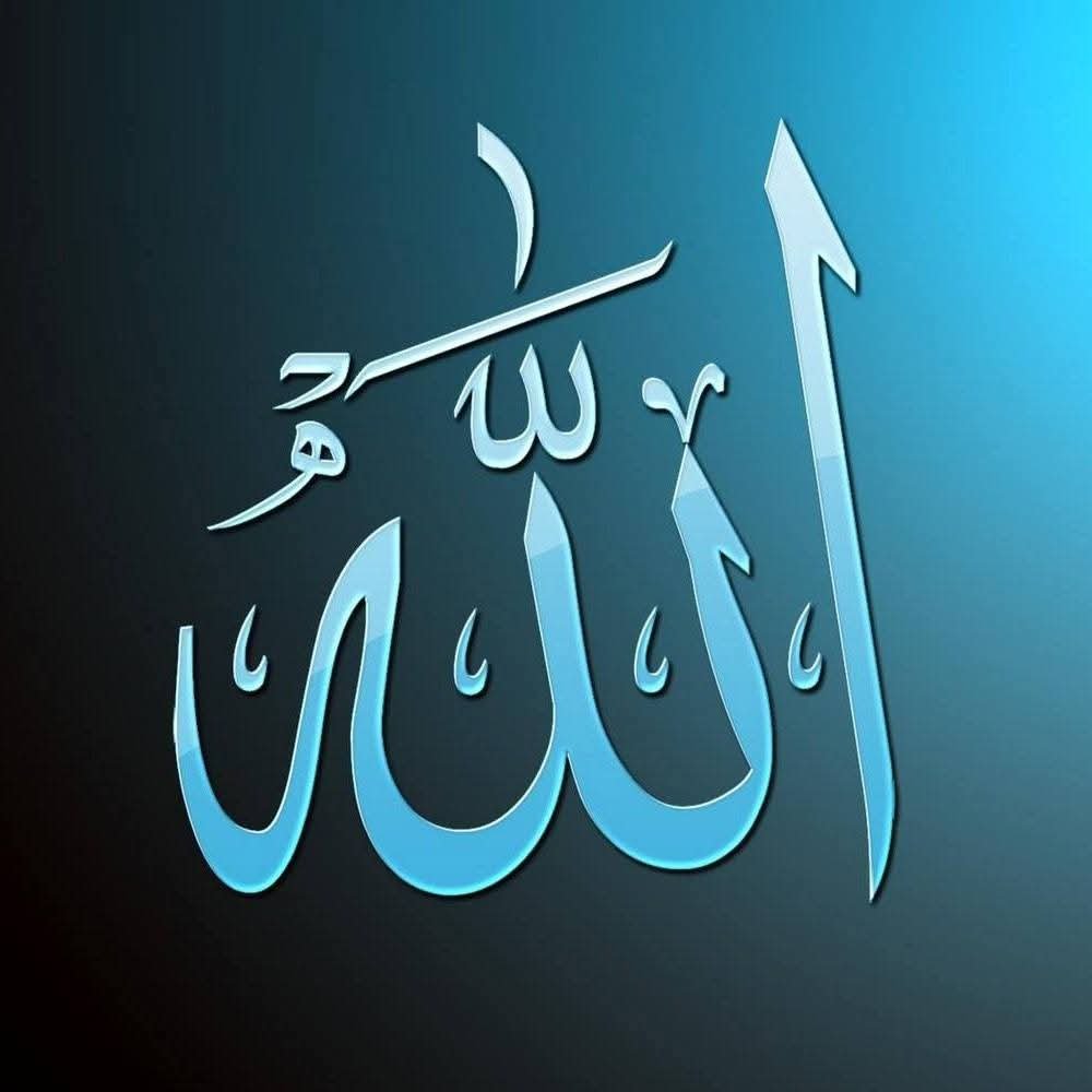 AlnylSnar55262's profile banner image