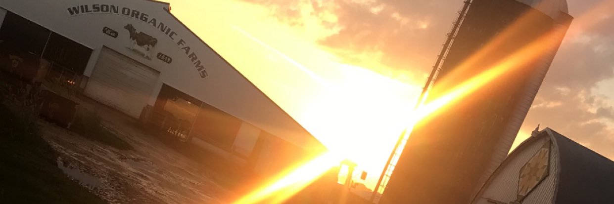 lexxi_04's profile banner image