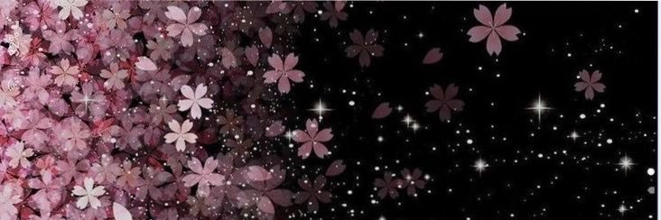 St4riin's profile banner image