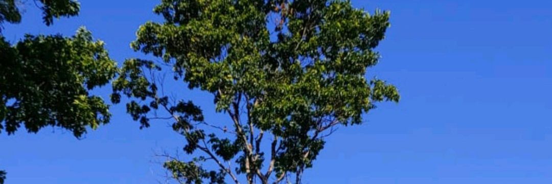 Anita 🙋🏻‍♀️ banner