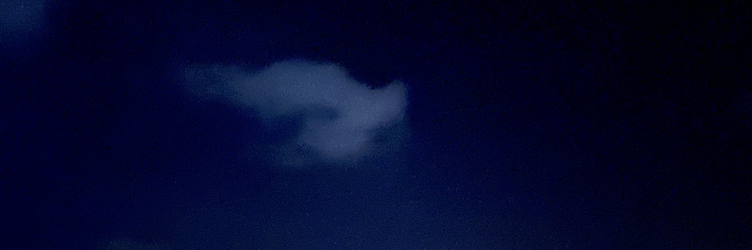 654 banner