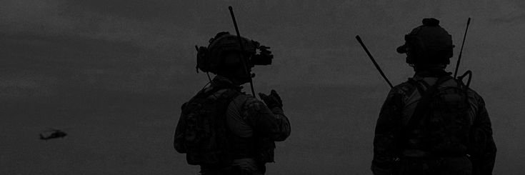 Sergant M banner