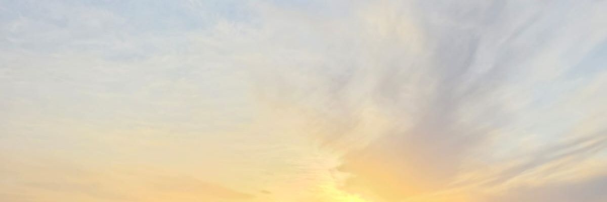 לב לבן banner